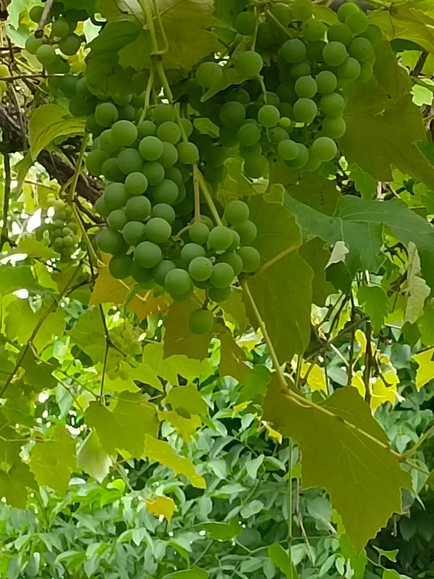 Dimora San Lorenzo Maggio Phòng bức ảnh